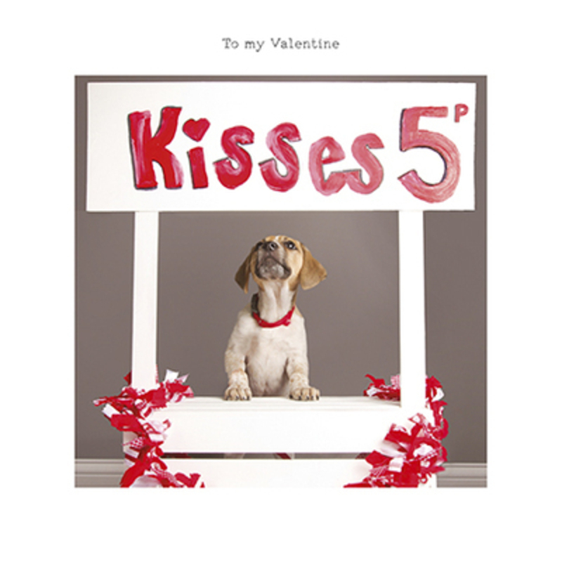 This Valentines Day greetings card from Paper Rose has a cute puppy sitting in a kissing booth with a sign Kisses 5p and To my Valentine written on the front. The card is perfect to send to someone to celebrate Valentines Day.  It has Happy Valentines Day written on the inside and comes complete with a red envelope.